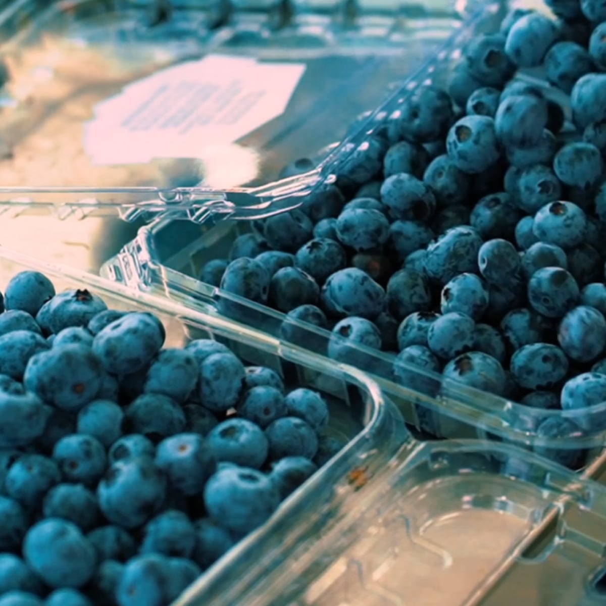 Berry marketing and distribution operations serving North American food markets.