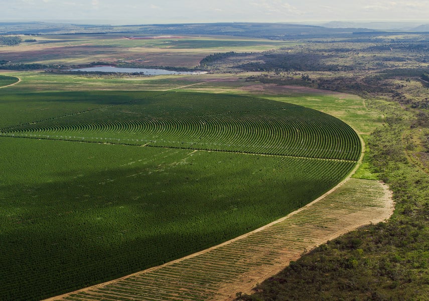 Large-scale agricultural fields illustrating long-term planning and risk-aware land management. The image reflects structured approaches to sustainable value creation.