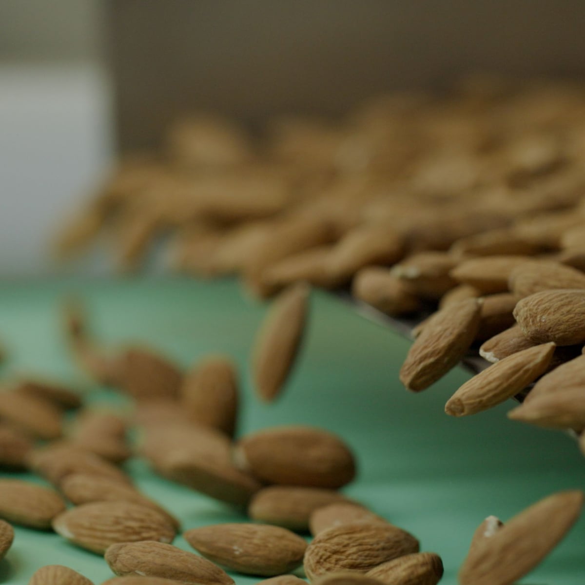 Almond production, farm services, and processing operations in California.